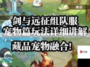 剑与远征新纪元，勇者团队远征玩法深度解析