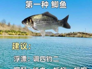 垂钓宗师养成攻略，钓鱼技巧与资源管理实践指南