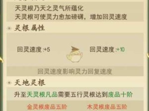 修仙云端功法搭配策略与资源管理基础详解