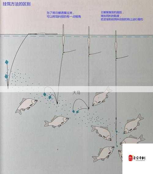 垂钓宗师攻略大全，鱼饵、渔具及钓鱼技巧详解在资源管理中的重要性及高效运用