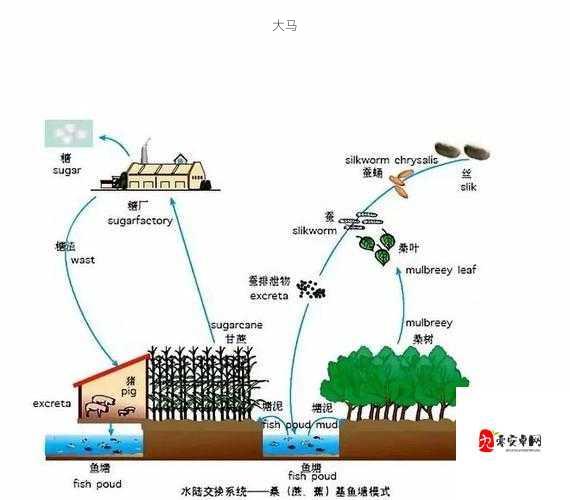 垂钓宗师鱼塘饲养全攻略，解锁养鱼高手的秘籍