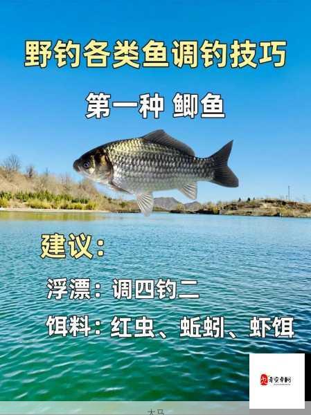 垂钓宗师玩法攻略，钓鱼技巧及新手养成指南在资源管理中的重要性与实践